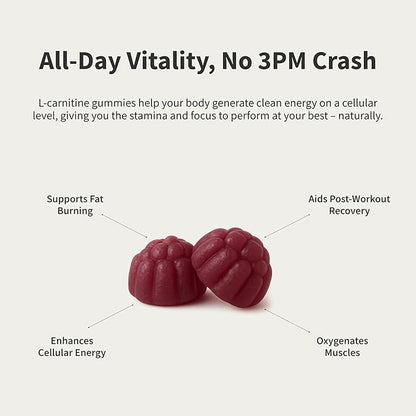 Snap Supplements L-Carnitine Tartrate Sugar Free Gummies 500mg, Amino Acid Supplement for Healthy Exercise Recovery, Metabolism, & Energy*, 60 Vegan Gummies, Blueberry (30 Day Supply)