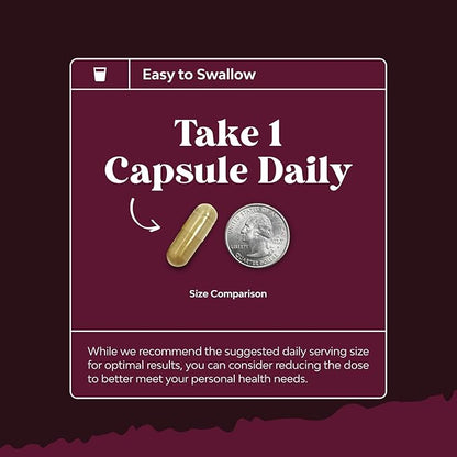Advanced Kidney Support Supplement - Kidney Cleanse Detox & Repair Cranberry Extract Capsules with Uva Ursi, Stinging Nettle & Astragalus for Kidney health - Urinary Tract Health - 120 Count