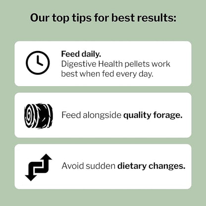 Formula 707 Digestive Health Equine Supplement, 8lb Bag – Probiotics, Prebiotics and Digestive Enzymes for Horses