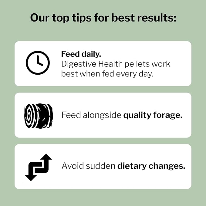 Formula 707 Digestive Health Equine Supplement, 4lb Bag – Probiotics, Prebiotics and Digestive Enzymes for Horses