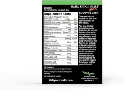 Wellgenix Purvana MAX Hair Skin and Nails Supplement – 5000mcg Biotin with MSM & B-Complex – Supports Thicker Hair, Stronger Nails & Glowing Skin – 60 Veggie Capsules (2 Pack)