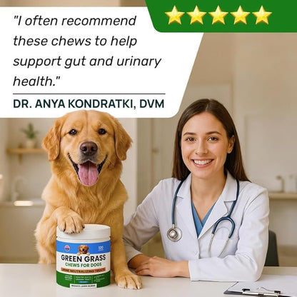 PAWFECTCHEW Dog Pee Grass Chews - Grass Treatment for Pet Urine - Neutralizer for Green Grass Burn Urine Spots - Green Lawn Chews for Dogs with Probiotics - Made in USA (120Ct)