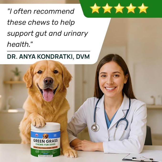 PAWFECTCHEW Green Grass Dog Chews with Probiotics – Lawn Burn Support – Dog Urine Neutralizer for Grass – Pee Spot Control – Gut & Urinary Health – 240Ct