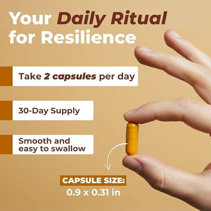 Vital Turmeric Curcumin Supplement – 1310 mg Blend with 95% Curcuminoids & Curcumin with Black Pepper – Joint, Brain, Immune & Anti-Aging Support – Non-GMO, Gluten-Free – 30 Day Supply