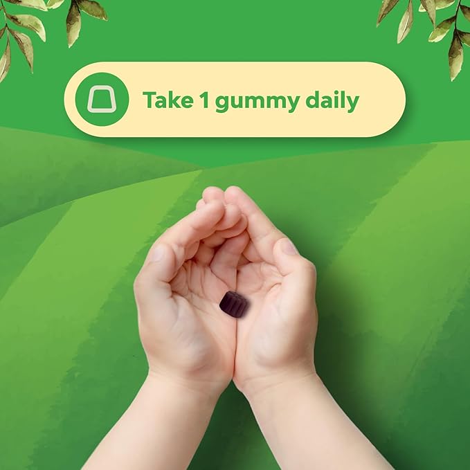 Sambucus Elderberry Gummies for Kids Health - Delicious Black Elderberry Gummies with Zinc and Vitamin C for Kids Immune Support - Gelatin and Gluten Free Non-GMO Immunity Support - 60 Count