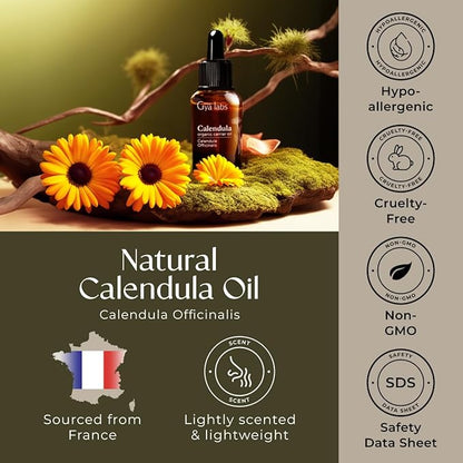 Gya Labs Organic Evening Primrose Oil for Dry Skin (3.4 fl oz) & Calendula Oil Organic for Skin (1 fl oz) Set - Aromatherapy Grade Essential Oils Set