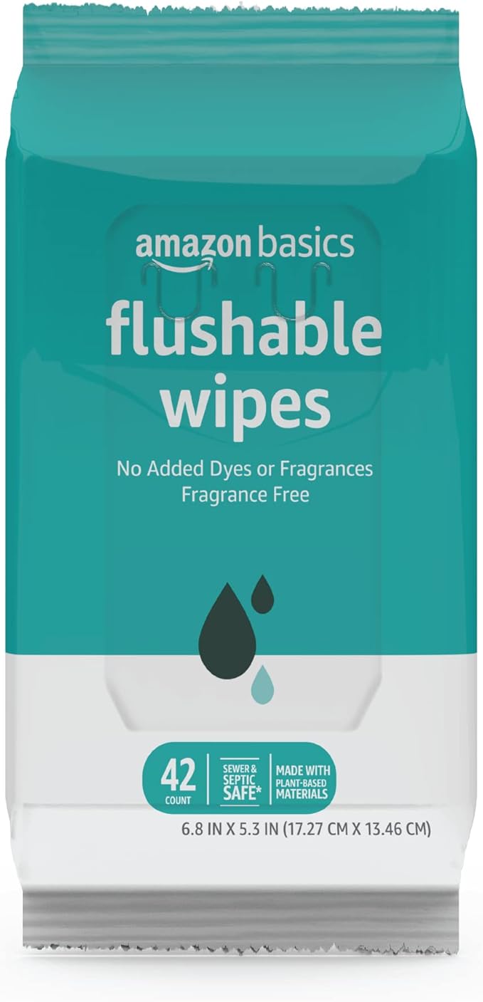 Amazon Basics Flushable Adult Toilet Wipes, Formulated without Fragrance, 504 Count (12 Packs of 42)