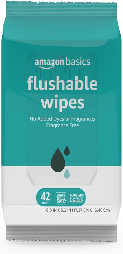 Amazon Basics Flushable Adult Toilet Wipes, Formulated without Fragrance, 504 Count (12 Packs of 42)