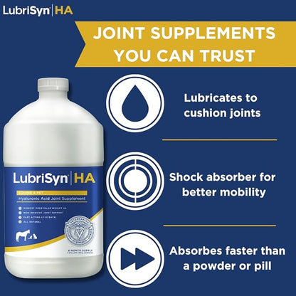 LubriSynHA Hyaluronic Acid Hip & Joint Care Supplement for Dogs, Cats & Horses – Liquid Oral HA for Pets – Joint Support Supplement Promotes Mobility, Flexibility, Cartilage Health & Comfort – 128oz