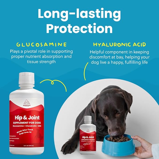 Paramount Pet Health Liquid Glucosamine for Dogs, 1600 mg Glucosamine for Dogs Hip & Joint Supplement, Ideal for Mobility & Comfort, Easy-to-Use Liquid MSM, Chondroitin, Made in USA, 32 oz