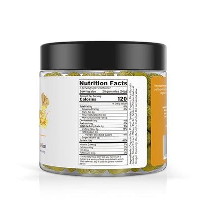 120 Sugar Free Protein Ginger Gummies with 1g per gummy & High Fiber | High Protein Snacks| Healthy Snacks for Adults| Plant Based | Fiber Gummies for Adults| Low carb 1g Net Carb, Stevia, Natural Flavor. (Ginger)