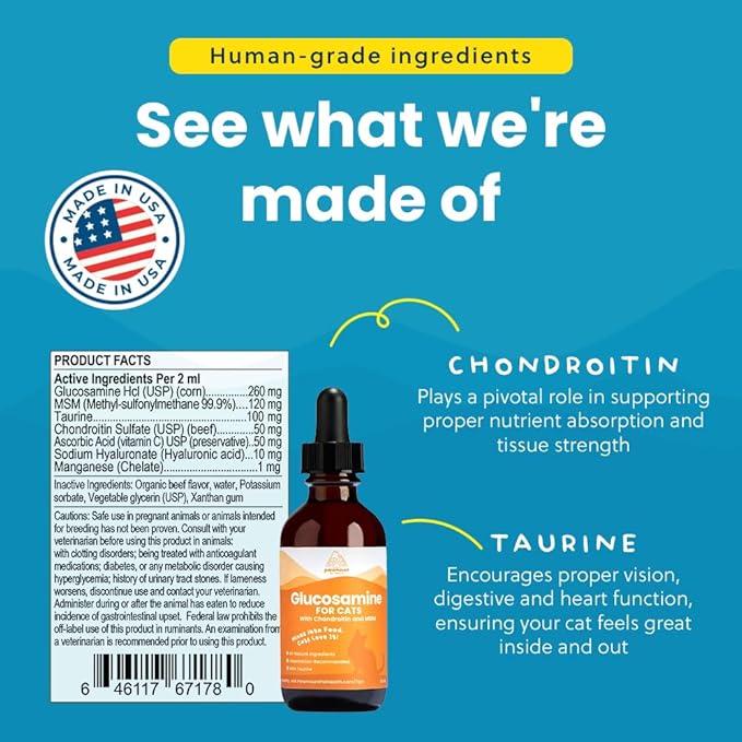 Paramount Pet Health Liquid Glucosamine Chondroitin MSM for Cats, Hip & Joint Support Supplement, Supports Mobility and Flexibility, Senior Cat Liquid Joint Supplement Drops for Daily Care, 2 oz