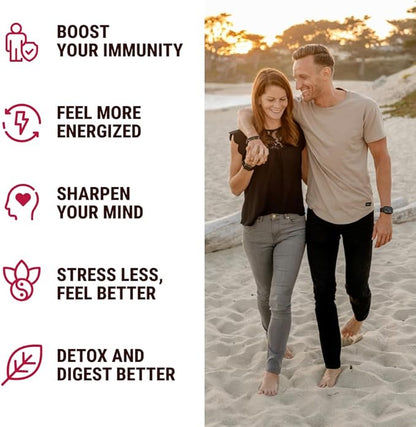 KJHD 2 Pcs Shilajit Ashwagandha Gummies with Sea Moss, Beet Root, Lion’s Mane Mushroom & Black Seed Oil – Organic Herbal Superfood Supplement – 120 Vegan Gummies