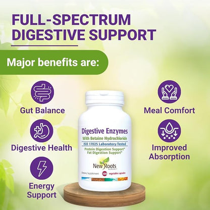Digestive Enzymes with Ox Bile and Betaine HCl (100 Caps) Ox Bile Supplements for No Gallbladder with Papain & Pepsin A | Pancrease Cleanse & Detox - Pancreatin Digestion Enzymes for Women & Men