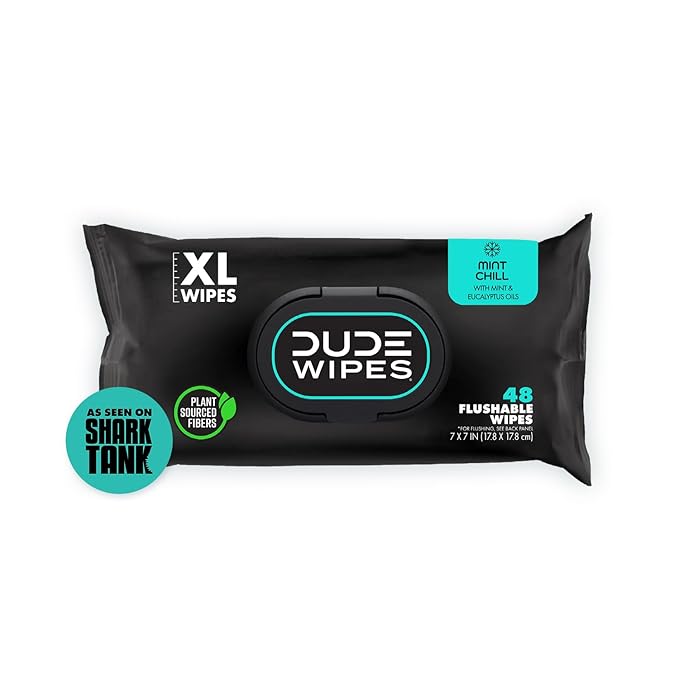 DUDE Wipes Mint Chill Flushable Wipes - Extra-Large Adult Wet Wipes - 1 Pack (48 Count), Travel Pack - Infused with Tea Tree Oil, Vitamin E, and Aloe - Septic and Sewer Safe