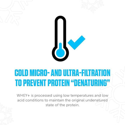 LEGION Whey+ Protein Whey Isolate from Grass Fed Cows (French Vanilla, 60 Servings) - Whey Protein Isolate Powder Low Calorie, Non-GMO, Sugar Free, Lactose and Gluten Free, All Natural Protein Powder