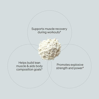 ONNIT Creatine Monohydrate Powder – Unflavored, 90-Serving Value Size – Supports Strength, Lean Muscle, and Brain Energy† – Keto Friendly, No Fillers, 90 Servings, 15.29 oz
