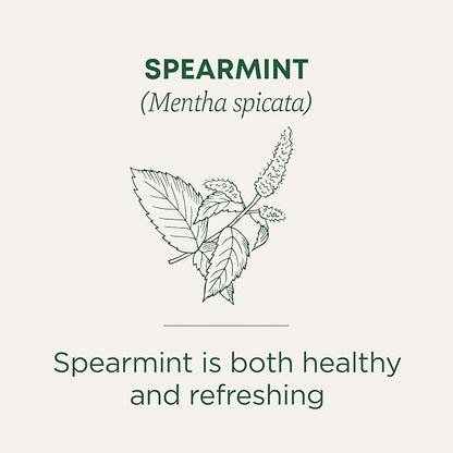 Traditional Medicinals Tea, Organic Spearmint, Supports Everyday Wellness, Healthy & Refreshing - 48 Tea Bags