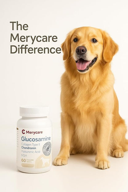 Glucosamine for Dogs – Hip & Joint Support Chewable Tablets with Collagen Type II, Chondroitin, MSM & Hyaluronic Acid – Veterinarian-Formulated – 60 Count