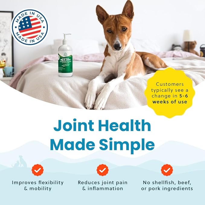 Paramount Pet Health Plant-Based Liquid Glucosamine for Dogs, 1600mg Joint Support Chondroitin, MSM & Omega 3-6-9, Shellfish-Free Dog Arthritis Supplement for Mobility & Flexibility Made in USA 16 oz