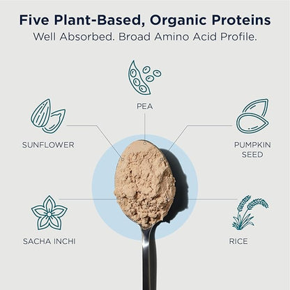 Designs for Health Phytotein Vegan Protein Powder - 20g Organic Rice, Sacha Inchi, Pumpkin Seed, Sunflower Seed & Pea Protein Powder Blend - Creamy Texture, Vanilla Plant Protein (465g)
