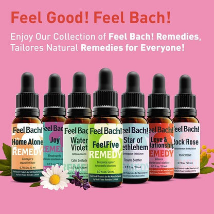 Feel Bach! Love & Relationship Remedy - Natural Homeopathic Flower Essences to Enhance Interpersonal Relations - Feel More Open - Vegan, Gluten & Sugar-Free, Non-Habit Forming, 20ml (0.7 fl oz)