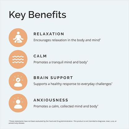 BRAINMD Dr Amen GABA Calming Support - 90 Capsules, Pack of 2 - Promotes Relaxation - Contains Magnesium, Vitamin B6 & Lemon Balm - 180 Total Servings