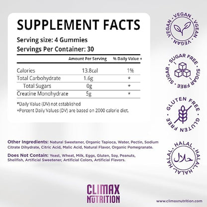 Creatine Monohydrate Gummies - Vegan, Sugar-Free, Gluten-Free - Boosts Muscle Recovery, Strength & Lean Muscle Growth - Brain Health Support - For Men & Women - Blueberry Flavor - 120 gummies