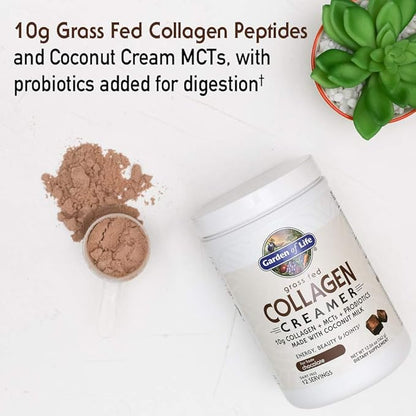 Garden of Life Grass Fed Collagen Creamer Powder - Chocolate, 12 Servings, Powder for Coffee Energy Beauty Joints, Collagen Peptides with Coconut MCTs, Keto Protein Supplements