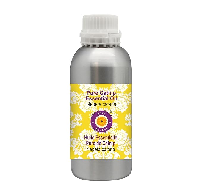 Deve Herbes Pure Catnip Essential Oil (Nepeta cataria) Steam Distilled 1250ml (42 oz)
