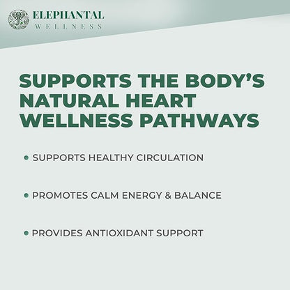 Elephantal Wellness Heart Herbal Tea – Herbal Loose Leaf Tea for Circulation & Cardiovascular Support with Hawthorn, Cinnamon, Ginger & Turmeric – Lightly Caffeinated Green Tea Blend, 2oz, 20 Servings