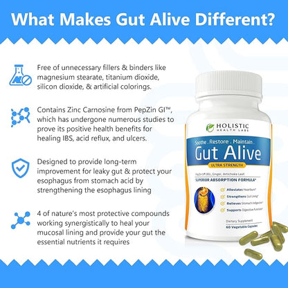 Holistic Health Labs Gut Alive - All Natural Support to Fight IBS, Heartburn, Acid Indigestion, Acid Reflux, Bloating & Gas. Unique Formulation (60 Count (Pack of 1))
