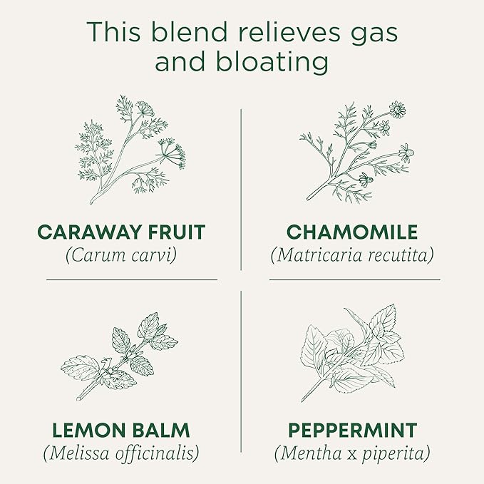 Traditional Medicinals Tea, Organic Gas Relief - Relieves Gas & Bloating, Chamomile Mint - Kosher, Non-GMO, Caffeine-Free - 16 Tea Bags