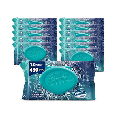 Charmin Flushable Wipes, 480 Total Wipes (12 Packs of 40)