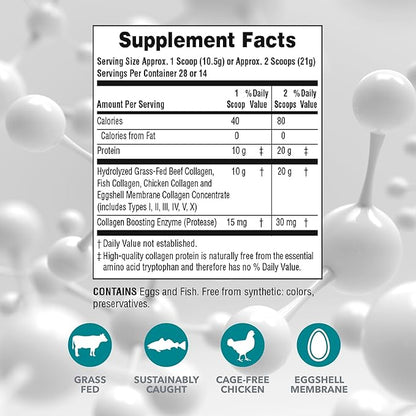 NaturesPlus Collagen Peptides - 0.65 lbs Powder, Pack of 2 - Hair, Skin, Nail & Joint Health, Immune System Support - Non-GMO, Gluten Free - Up to 56 Total Servings