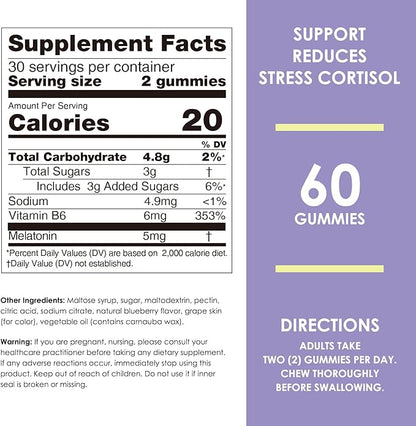 Nature's Key Melatonin Gummies for Kids & Adults, 5mg Dose Gummy with Vitamin B6, Non-GMO,Gluten-Free-Natural Blueberry Flavor 60 Count