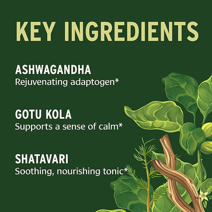 Banyan Botanicals Organic Stress Ease – Adrenal Support & Resilience Supplement – Ashwagandha & Shatavari for Fatigue & Nervous System Balance – 90 Tablets – USDA Organic