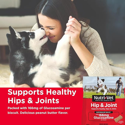 Nutri-Vet Hip & Joint Biscuits, Dog Joint Supplement, Dog Treat, Small Sized Biscuit with 166mg Glucosamine, Puppy Supplements, Tasty Glucosamine Treat, Puppy Essentials, 16 oz (Pack of 2)