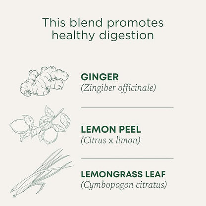 Traditional Medicinals Organic Lemon Ginger Tea, 1.13 Oz, 16 Count (Pack of 2)