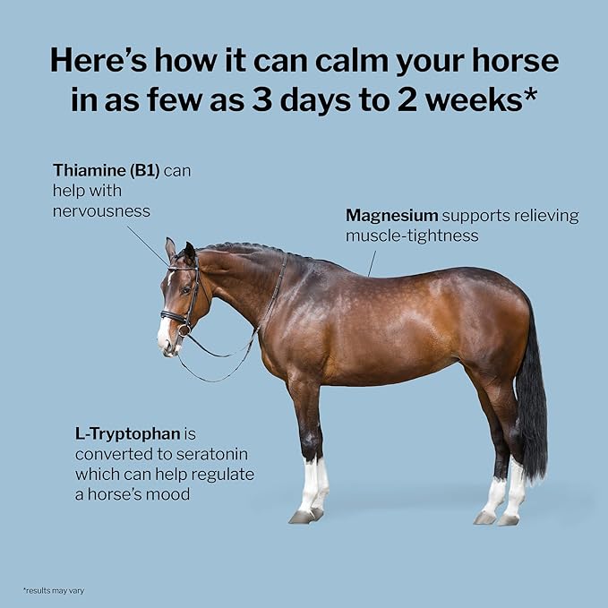 Formula 707 Calming Equine Supplement, Daily Fresh Packs – Enhanced Focus for Horses – L-Tryptophan, Thiamine & Magnesium