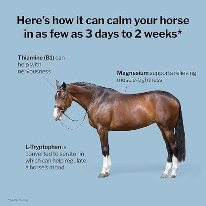 Formula 707 Calming Equine Supplement, Daily Fresh Packs – Enhanced Focus for Horses – L-Tryptophan, Thiamine & Magnesium