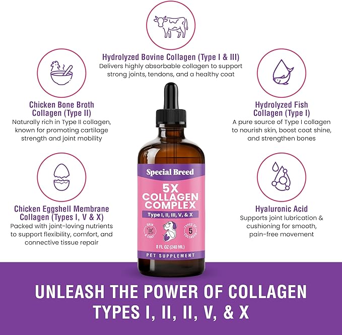 Premium Collagen for Dogs - Liquid Support for Joints, Skin, Coat, Bone, Immune System & HIPS - Collagen Supplement - Made in USA - 8oz