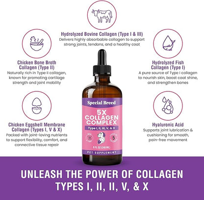 Premium Collagen for Dogs - Liquid Support for Joints, Skin, Coat, Bone, Immune System & HIPS - Collagen Supplement - Made in USA - 8oz