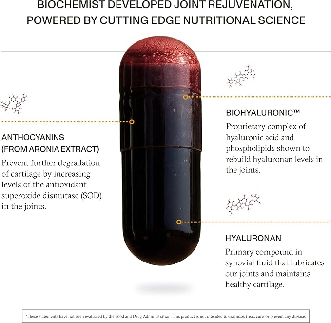 Synchro - Rejuve Joint Support Supplement, Non-GMO Cartilage and Joint Support, Joint Supplement with Hyaluronic Acid and Anthocyanins, 60 Joint Health Supplement Capsules