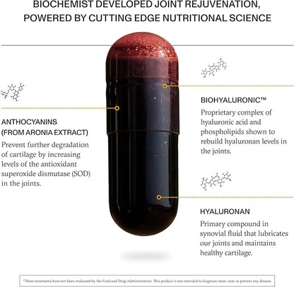 Synchro - Rejuve Joint Support Supplement, Non-GMO Cartilage and Joint Support, Joint Supplement with Hyaluronic Acid and Anthocyanins, 60 Joint Health Supplement Capsules