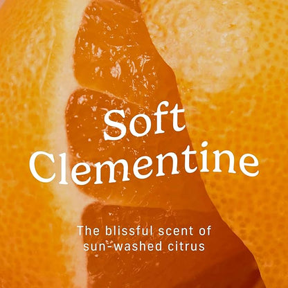 Niches & Nooks Gentle Nooks Cleanser – Soft Clementine – pH Balanced Feminine Wash for Women, Daily Intimate Cleanser, Odor Control, Sensitive Skin Safe – 7 oz