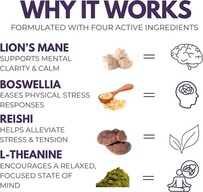 Chill Pill Supplement - Lion’s Mane, Reishi, L-Theanine, Boswellia & Beta-Glucans - Relax, Recover & Recharge - 60 Vegan Capsules