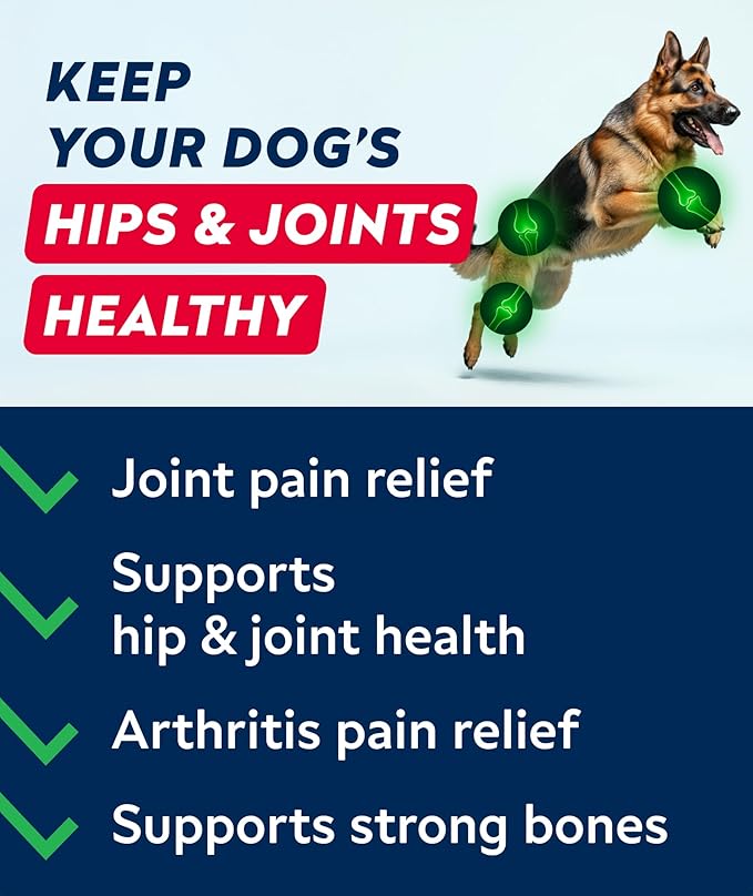 Glucosamine Treats for Dogs - Joint Supplement w/Omega-3 Fish Oil - Chondroitin, MSM - Advanced Mobility Chews - Joint Pain Relief - Hip & Joint Care - Bacon Flavor - 240 Ct - Made in USA