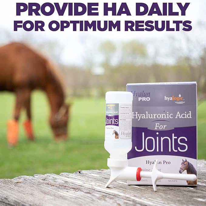 Hyalogic Hyaluronic Acid for Horses 90 Day Supply Easy Oral Tip Dispenser - Liquid HA Supplement for Equine Joints and Cartilage Support - Hyalun Pro - 9 oz / 296 ml
