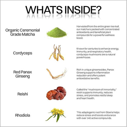 Organic Matcha & Mushroom Energy Gummies | Ceremonial Grade Matcha + Cordyceps, Reishi, Panax Ginseng & Rhodiola | Clean Sustained Energy, Focus & Stress Support | Vegan, Non-GMO
